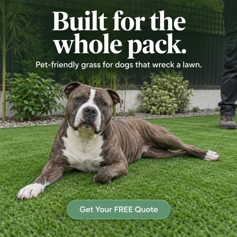 Built for the whole pack — pet-friendly artificial grass poster featuring a dog resting on the grass